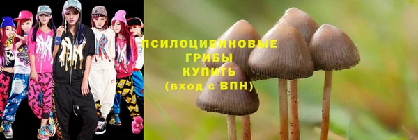 крисы Балабаново